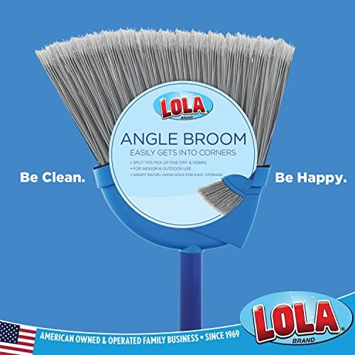 LOLA Products Small Angle Broom | 9,25 Cabeça larga | Cerdas de animais de estimação de fibra reciclada | Grace de aço brilhante