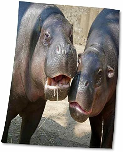 3drose florene animais - hipopótamos abraçados - toalhas