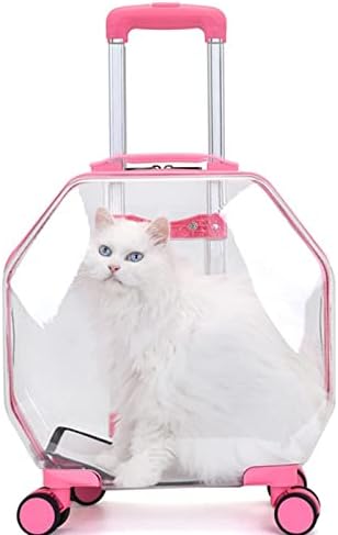 Caso de gato de gato de gato de pet scdzs 360 ° Saco de transporte transparente panorâmico de grande capacidade