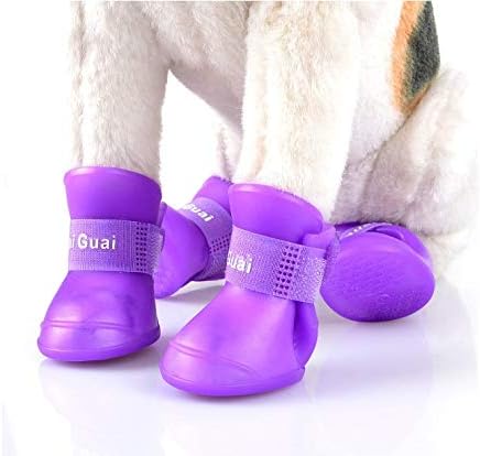 Boxod 2018 Novo fofo cachorro de cachorro de cachorro de chuva botas de neve sapatos de botas Candy Colors Anti-deslizamento