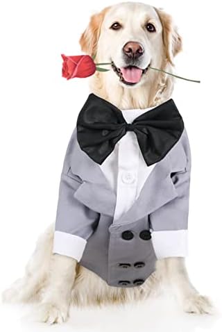 Tuxedo de cães de cães de cães grandes, traje de fantasia de figurino de cães com camisa de gravata borbole
