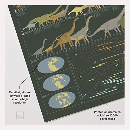 Gráfico pop | Dinosauria | Poster de dinossauros grandes de 24 x 36 | Decoração da sala de dinossauros para casa ou sala de aula