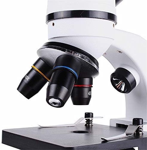 Teerwere Microscópio portátil Microscópio de composto óptico conjunto com lâminas para estudantes e crianças biologia Microscópio