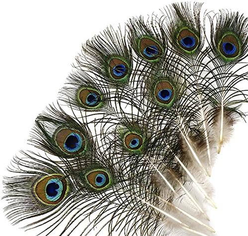 Mini penas de olhos de pavão, penas completas naturais, 4-10 , por 25