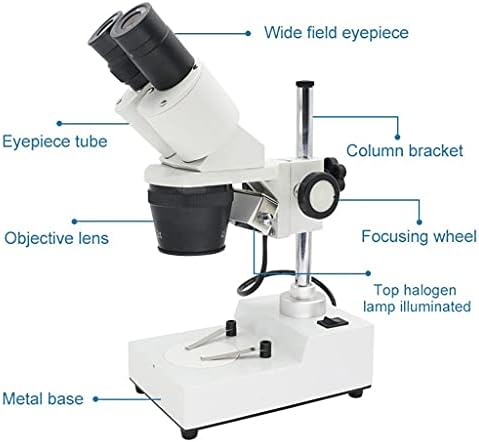 Microscópio estéreo binocular LXXSH