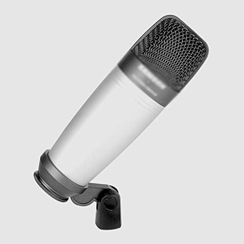 LMMDDP com filtro Large Diaphragm Studio Condenser Microfone Professional para gravação