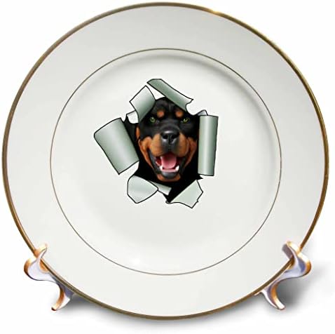 3drose cartoon estilo Rottweiler cachorro cutucando sua cabeça em papel rasgado - pratos