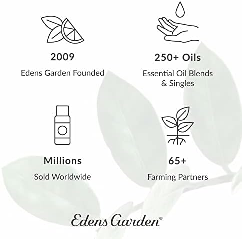 Edens Garden Energy Boost Synergy Blend, puro grau 10 ml
