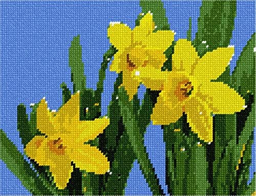 Canvas de agulha de Pepita: narcisos, 9 x 7