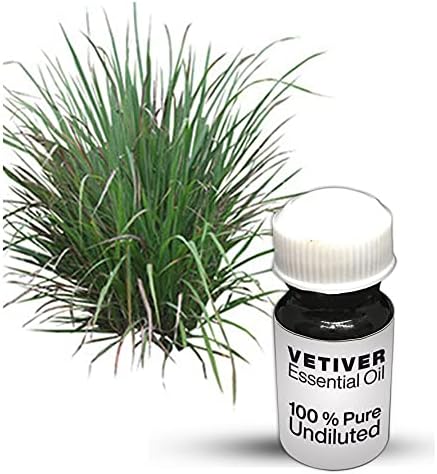 Vetiver Oil Essential Oil / de vetiver puro não diluído Qualidade de premium de óleo essencial