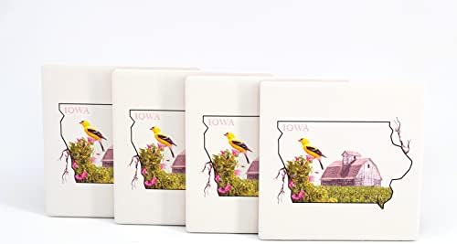 4 Coastas -russas de bebidas cerâmicas absorventes com cortiça de volta, artista projetado, montanha -russa quadrada