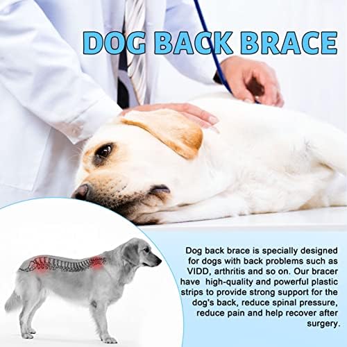 Chapa de costas para cães, suporte de quadril para animais de estimação, cinta para cães com IVDD, recuperação e reabilitação