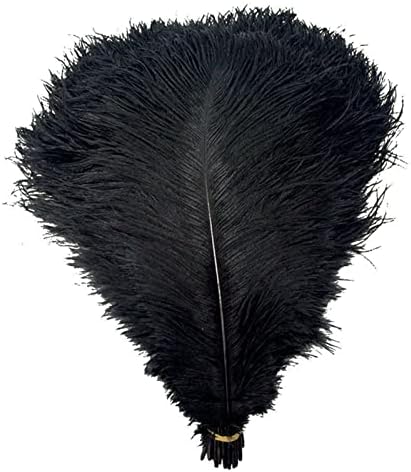Hard haste 10pcs/lot naturais de avestruz preto penas para artesanato figurinos de carnaval Decoração de acessórios de casamento de