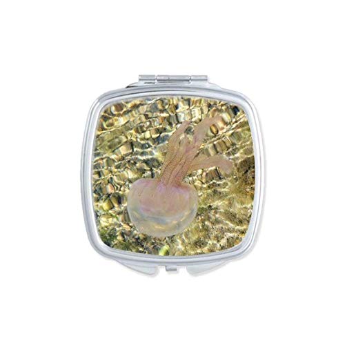 Ocean Helyfish Science Nature Picture Mirror Portátil Compact Pocket Maquia