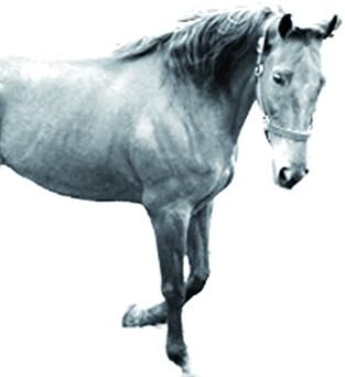 Art Dog Ltd. American Saddlebred, lápide oval de azulejo de cerâmica com uma imagem de um cavalo