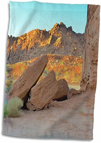 3DROSE FLORENE Desert Landscape - Nevada Desert - Toalhas