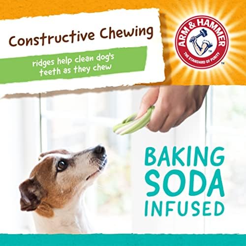 Arm & Hammer for Pets Ringers Dental Treats for Dogs | As mastigas dentalas para cães lutam contra o mau hálito e o tártaro sem escovar | Recipiente de tratamento para cães com sabor de maçã verde frutado, mastigações de cães dentais de 32 CT, 6 pacote