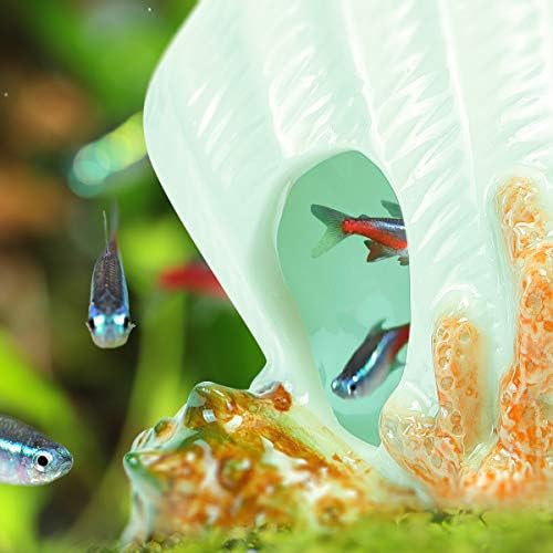 Decorações de aquário de cerâmica segura do WSGIFT