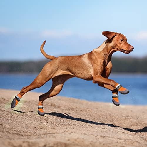 Botas de cachorro e protetores de pata, sapatos para cães para calçada quente, Bowite no verão inverno respirável