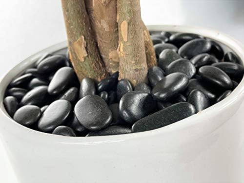 Kayso Inc 3/8 Tamanho de cascalho Rocks/Pebbles para jardim, decoração em casa, coco de plantas, cargas de vasos e passarelas - 10 libras