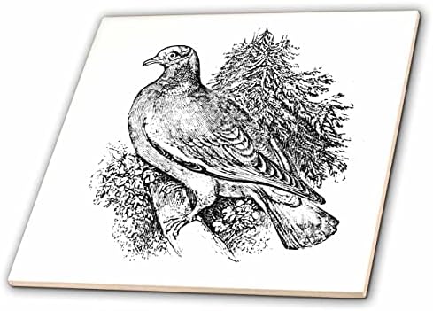 Ilustração da arte selvagem de madeira de madeira vintage de 3drose para animais selvagens para amante de pássaros - azulejos