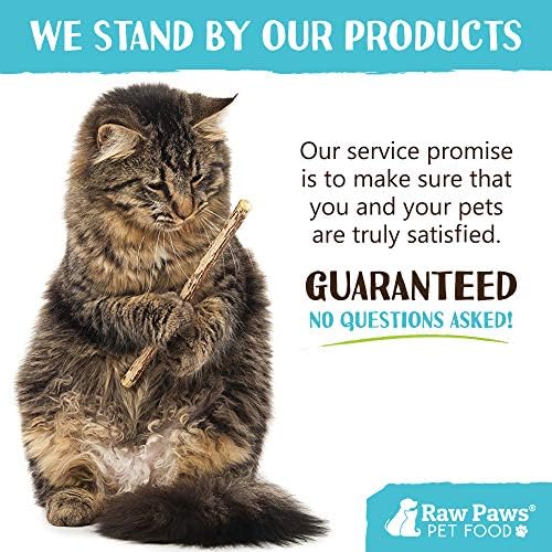 PAWS RAW Silvervine for Cats - Silvervine Cat Toys for Indoor Cats - Catnip Sticks - Matatabi Cat Chew Stick - Silvervine Sticks para