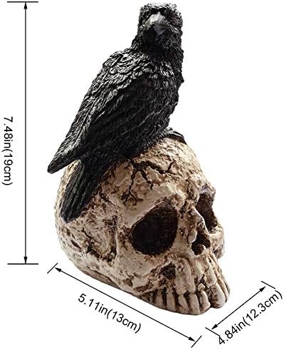 TriBartlive Raven no Skull Halloween Decoração - Crow Gothic Crow On Skull estátua, Bird empoleirando -se na estatueta