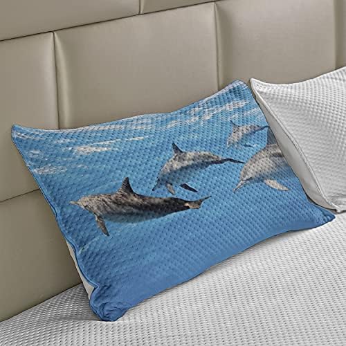 Ambesonne Dolphin micoteca de colcha de travesseiros, fotografia subaquática de golfinhos, nadando alegremente o oceano animal impressão de imagem, capa padrão de travesseiro de tamanho king para quarto, 36 x 20, cinza azul