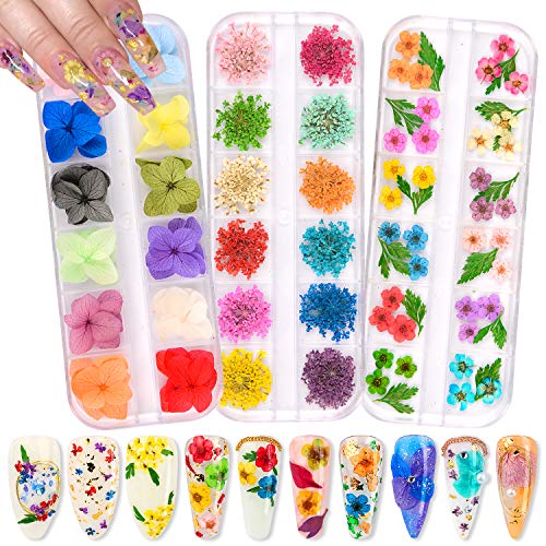 WarmFits Flores secos para unhas 120pcs/conjunto 3D Flores de unhas encapsuladas em 3D para unhas para unhas Art