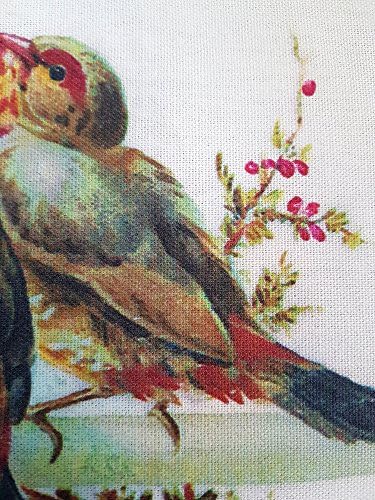 Flonzgift Tea Tootes Birds Casal Love Toalha de prato de cozinha de algodão impressa vintage 22 x30