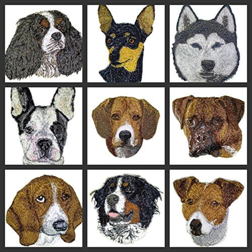 Retratos de rosto de cães incríveis [bulldog-2 francês] personalizado e exclusivo] Ferro bordado On/Sew Patch [3,5 *4] [feito