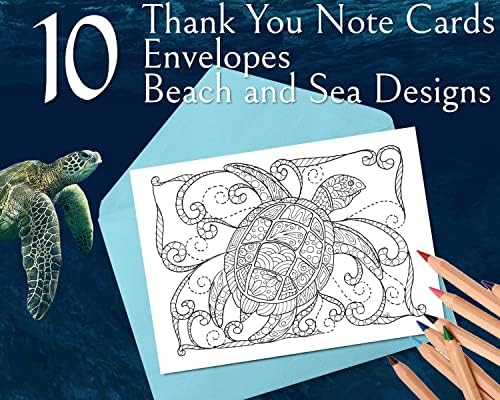 ART ECLECT HOBE CORA CORAÇÃO GERATURA NATURA E CARTOS DE Agradecemos, Zentangle Ocean Designs, 10 cartões com envelopes azuis