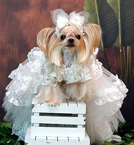 Uxzzdx cujux roupas de cachorro de cachorro de cauda grande lolita vestidos de noiva de estimação de animais de estimação