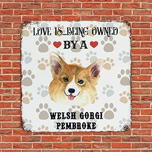 Funny Pet Dog Metal Sign Metal Plaque Love é pertencer a um cachorro Vintage Dog Welcome Sign Decorativo Pub Wall Sign