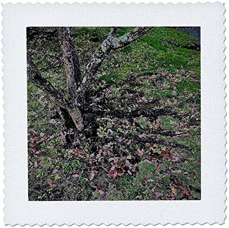 Foto de raízes e galhos de outono 3drose - Quilt quadrados