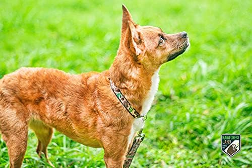 Cola de cão da floresta tropical e trelas, design, ajustável, para cães pequenos, médios e grandes. )
