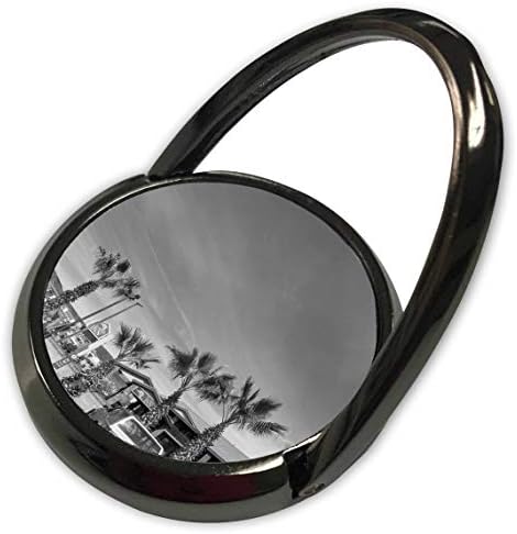 3drose jos fauxtographage- preto e branco - uma imagem insaturada de palmeiras no sul de Utah - anel de telefone