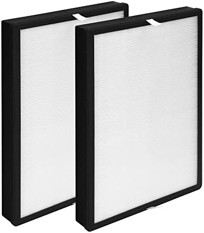 Gokbny 2-Pack Air Choice True Hepa Substitui