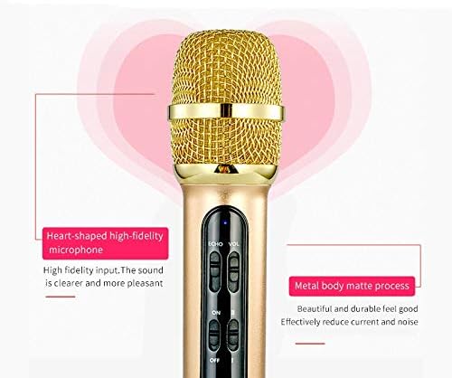 TDXBB Portable Professional Condenser Microfone Sing Recording Live for Mobile Phone Computer com Echo Sound Card