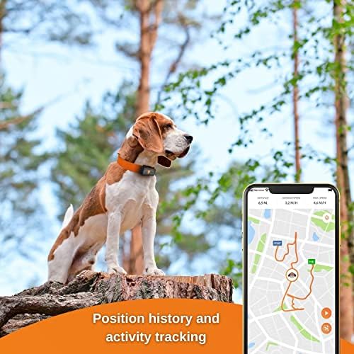 Weenect Dog GPS Tracker XS | Rastreamento GPS em tempo real | Sem limite de intervalo | O menor rastreador do mercado | Incluindo