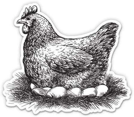 Esboço de galinha desenho de frango ovos - adesivo de vinil de 3 - para laptop para laptop water garrafa telefonia - decalque