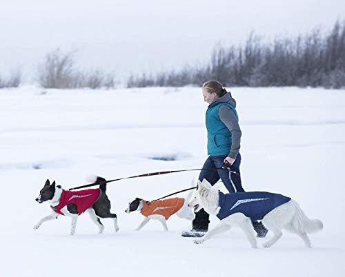 RC Pet Products Cascade Dog Casat, essencial All Weather Dog Jacket, tamanho 12, Blue Arctic