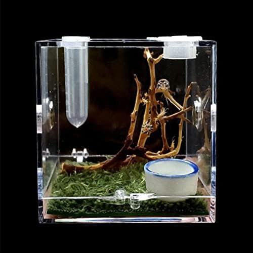 Caixa de insetos da casa de casas Habitat Professional Habitat Pet Supplies com umidificador Spider Alimentador CAGA