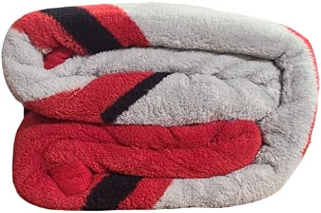 Seção da NCAA Micro Raschel Super Soft Plush Throw Blanket 46 x 60