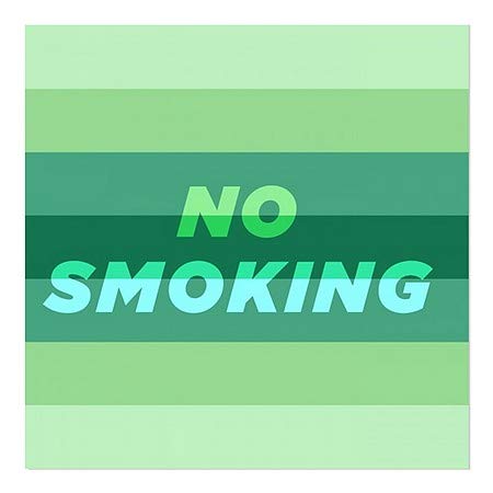 CGSignLab | Janela não fumando -moderna Janela se apegando | 12 x12