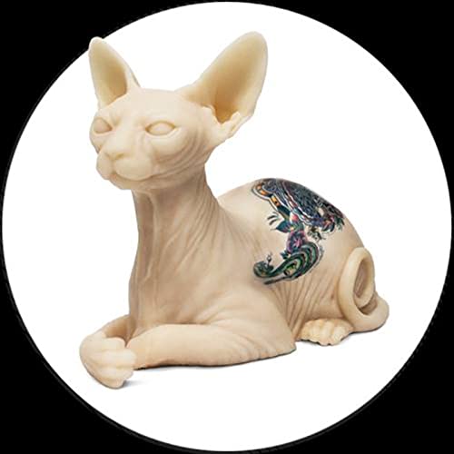 Modelo de gato de silicone tatuável esfínx gato modelo de vida tatuagem corpo falso corpo de pele para prática de tatuagem e exibição 3D simula o modelo de silicone realista de qualidade real de qualidade real