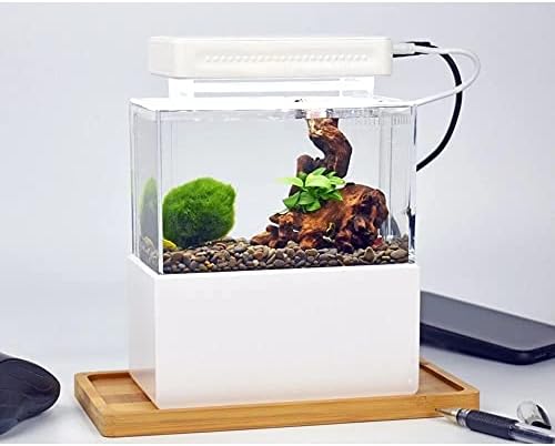 Wpyyi mini peixe tanque de tanques de mesa marítima aquapônica aquarium tigela com fliter de água LED LUZ
