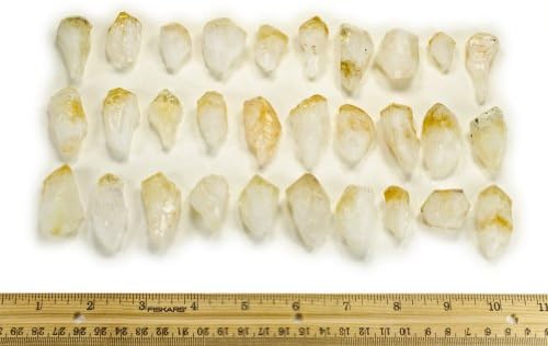 Materiais Hypnotic Gems: 50 PCS Pontos de citrina leves - tamanho médio - belos suprimentos de pedras preciosas a granel