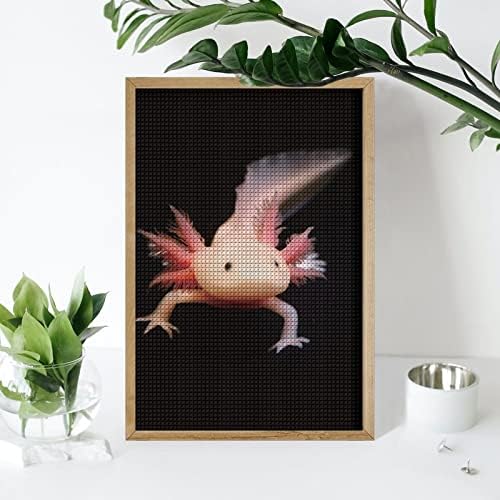 Kits de pintura de diamante decorativos de newt axolotl