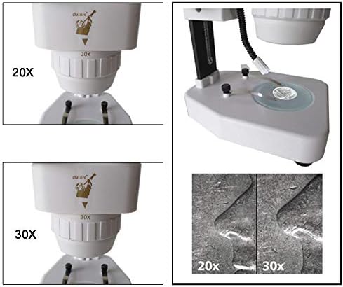 Microscópio GEM GALILEO 20X e 30X Estéreo com luz LED flexível